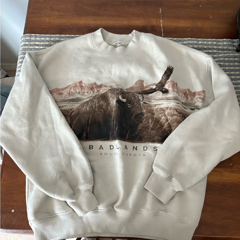 Abercrombie & Fitch Badlands Crewneck Sweatshirt